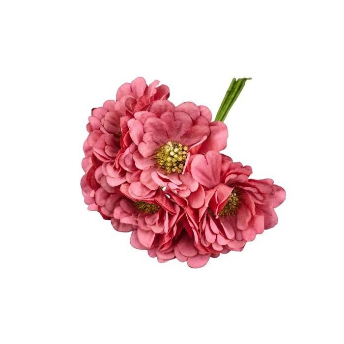 GERBERA SFUMATA CORALLO D5